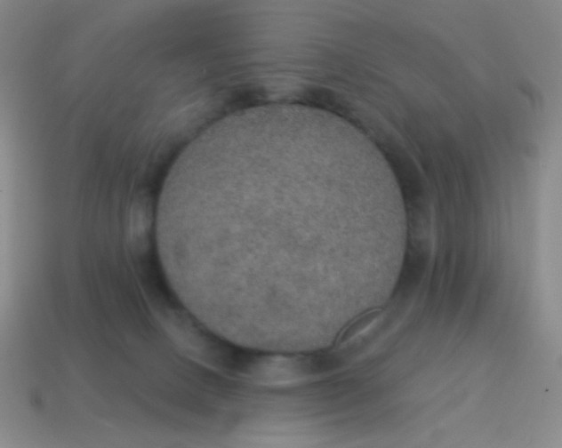 X0000115070082200911101312