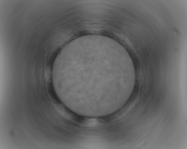 X0000115070083200911101312