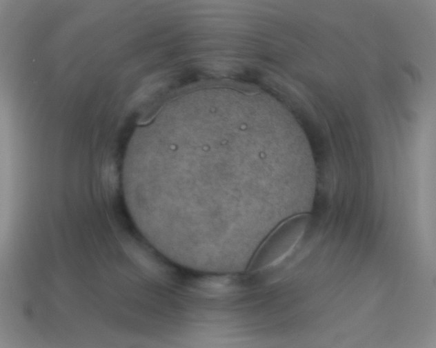 X0000115070086200911101312