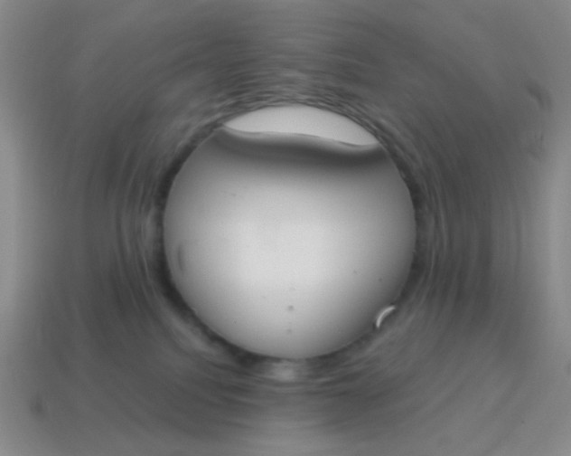 X0000115070088200911101312