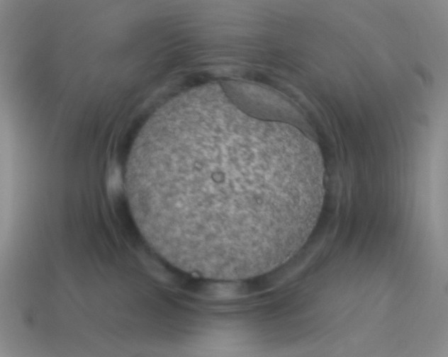 X0000115070089200911101312