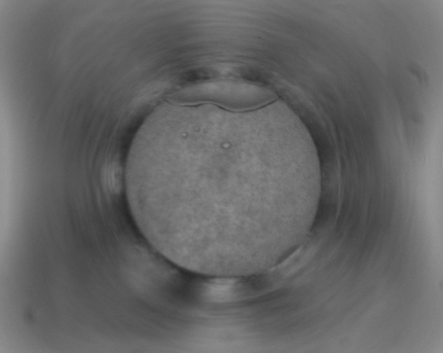 X0000115070090200911101312