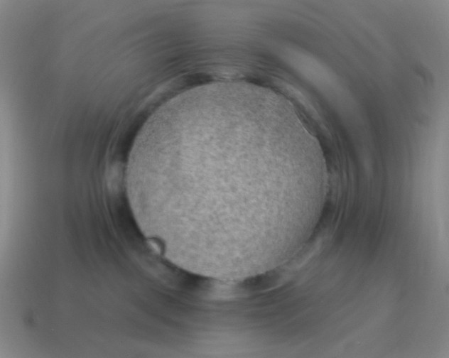 X0000115070093200911101312