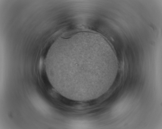 X0000115070095200911101312