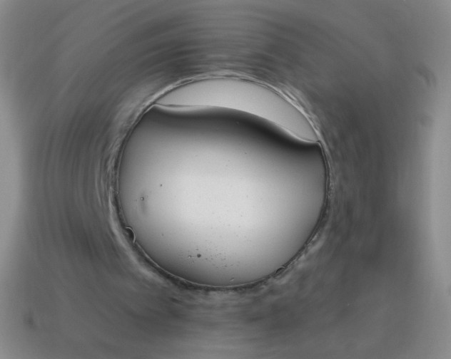 X0000115070097200911101311