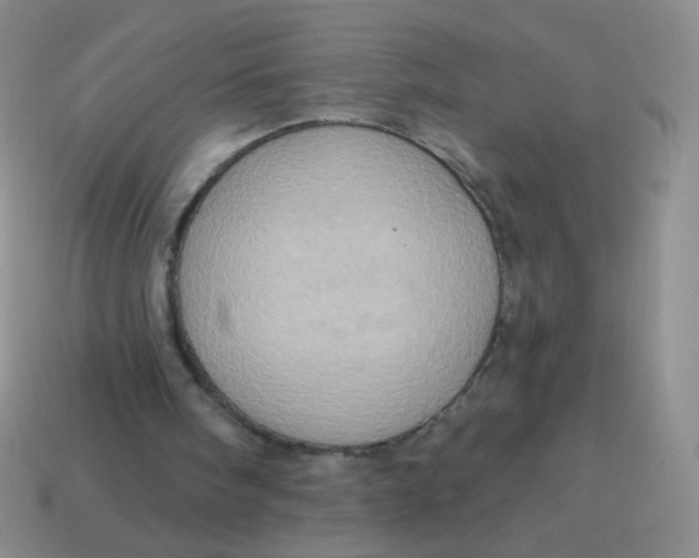 X0000115070098200911101311