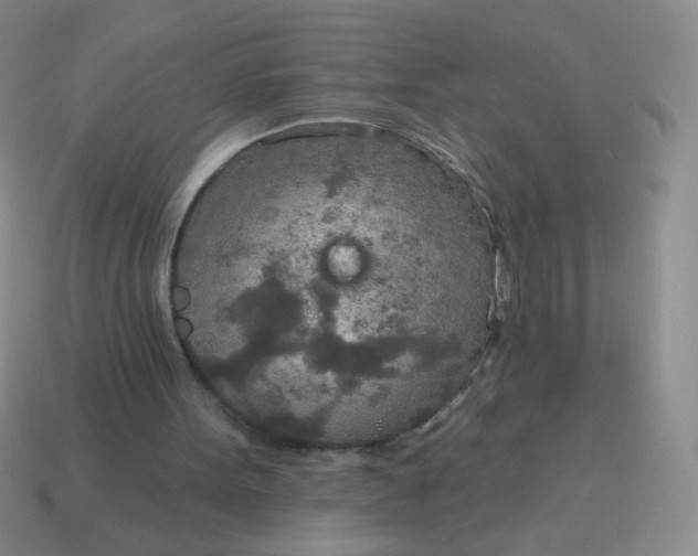 X0000115070099200911101311