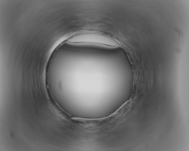 X0000115070100200911101311