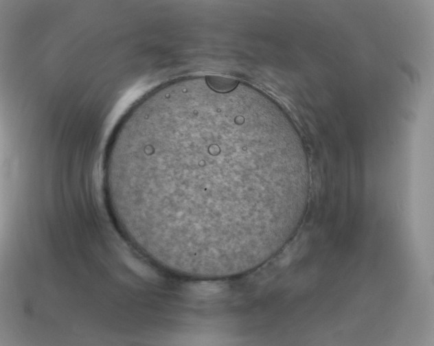 X0000115070102200911101311