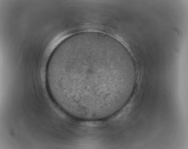 X0000115070103200911101311