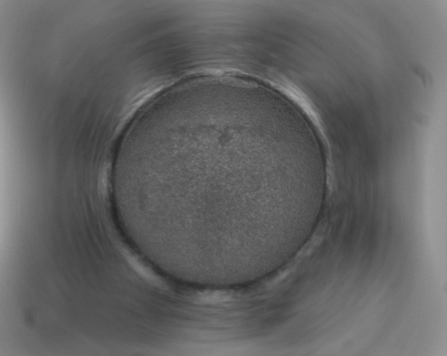 X0000115070105200911101311