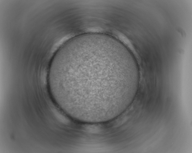 X0000115070106200911101311