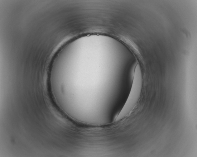 X0000115070108200911101311