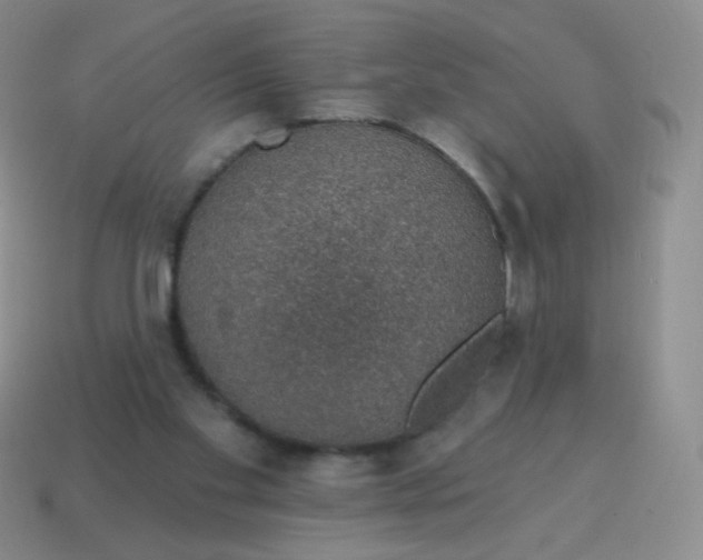 X0000115070109200911101311