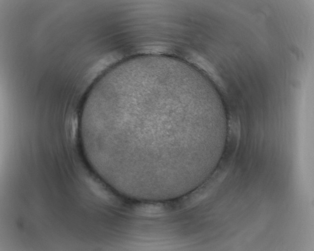 X0000115070110200911101311