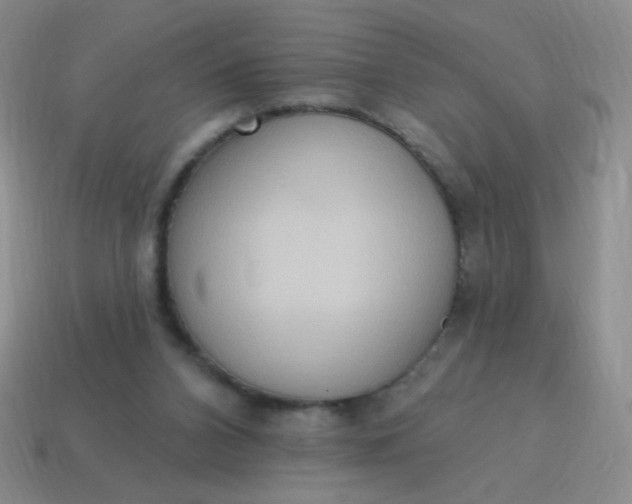 X0000115070112200911101311