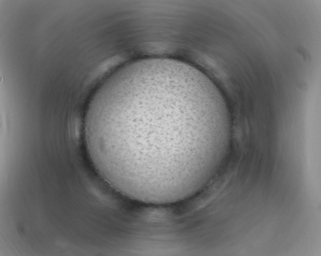 X0000115070115200911101311