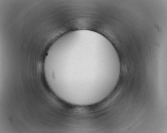 X0000115070117200911101311