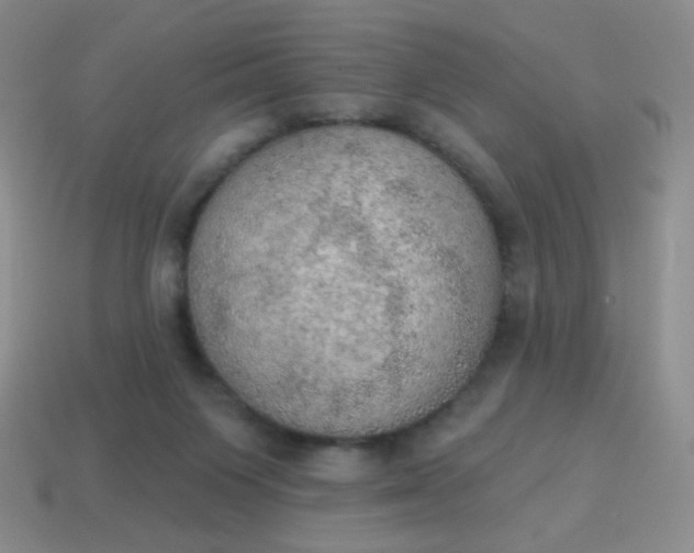 X0000115070119200911101311