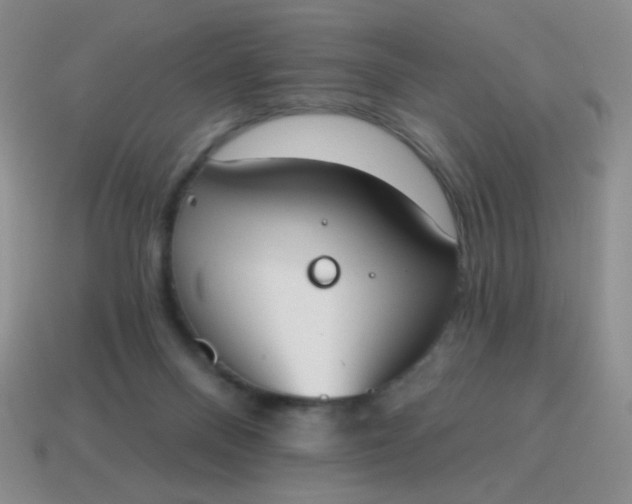 X0000115070120200911101311