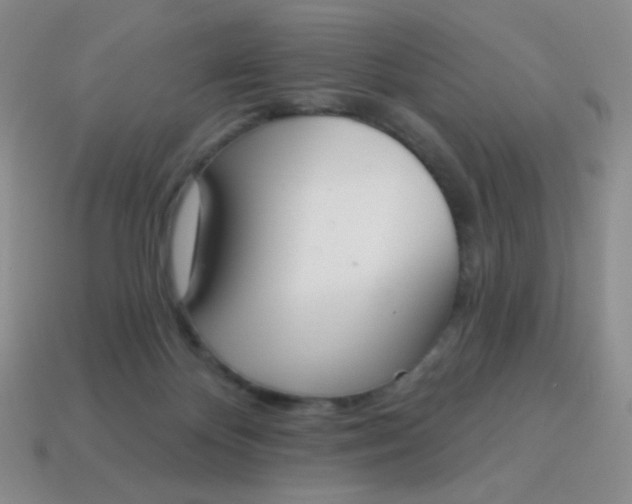 X0000115070124200911101311