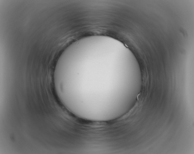 X0000115070128200911101311