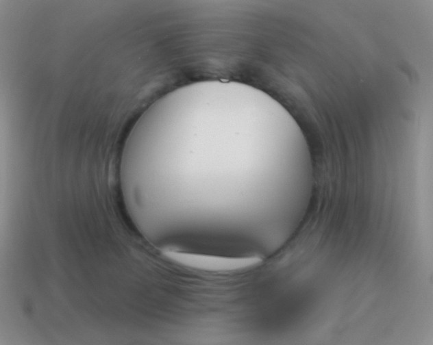 X0000115070131200911101311