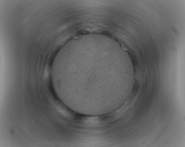 X0000115070132200911101311