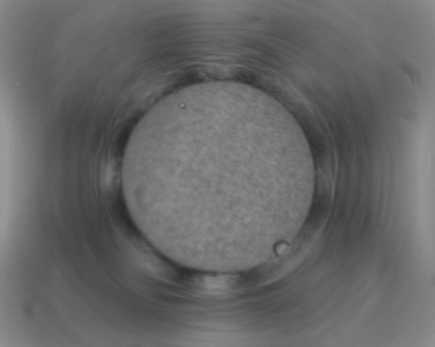 X0000115070134200911101311