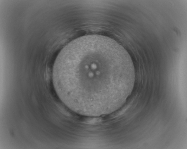 X0000115070135200911101311