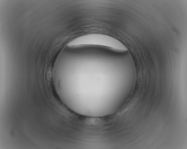 X0000115070137200911101311