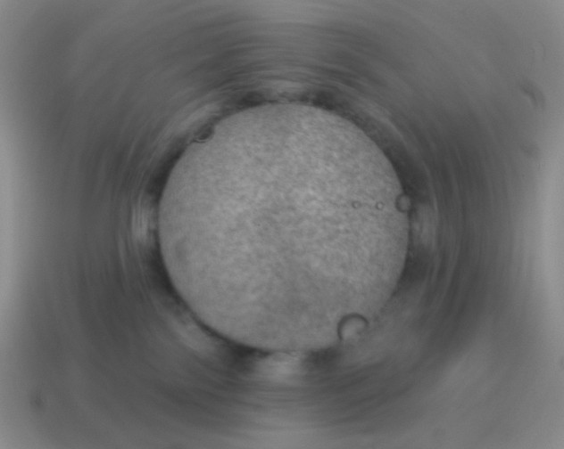 X0000115070138200911101311
