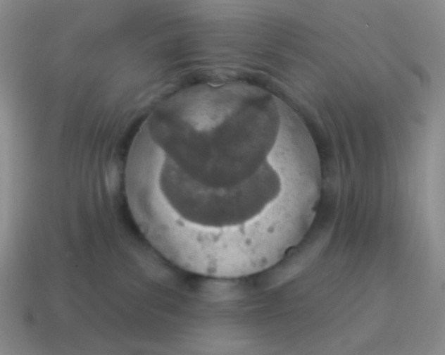 X0000115070139200911101311