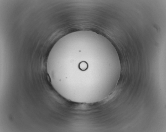 X0000115070140200911101311