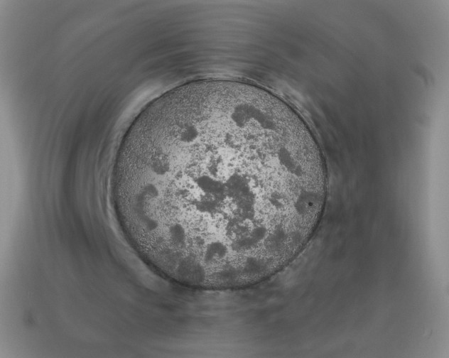 X0000115070145200911101310
