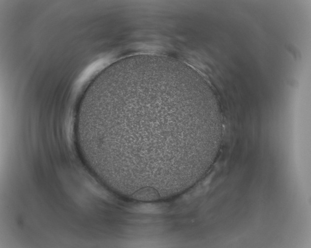 X0000115070149200911101310