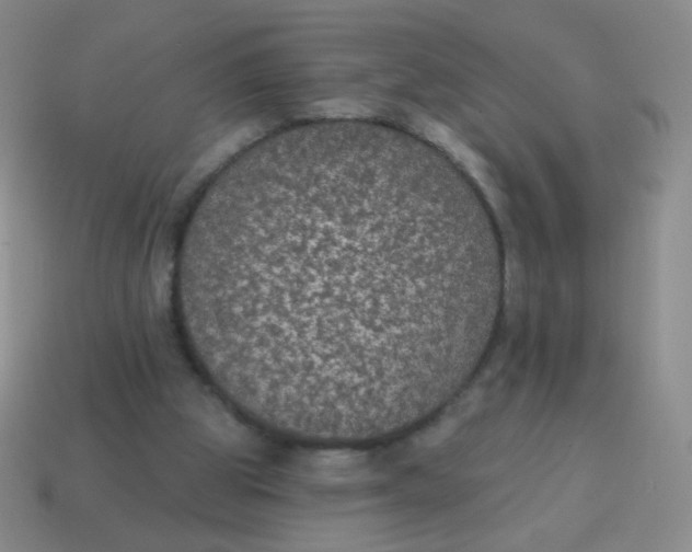 X0000115070153200911101310