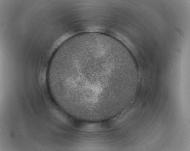 X0000115070155200911101310