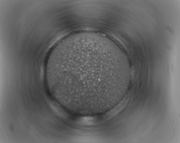 X0000115070158200911101310