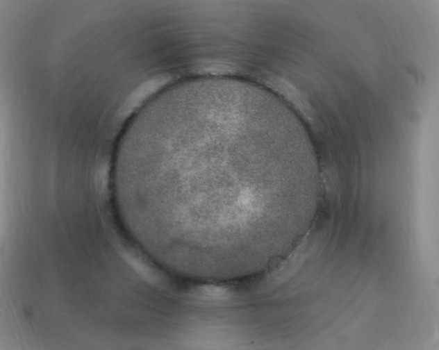 X0000115070159200911101310