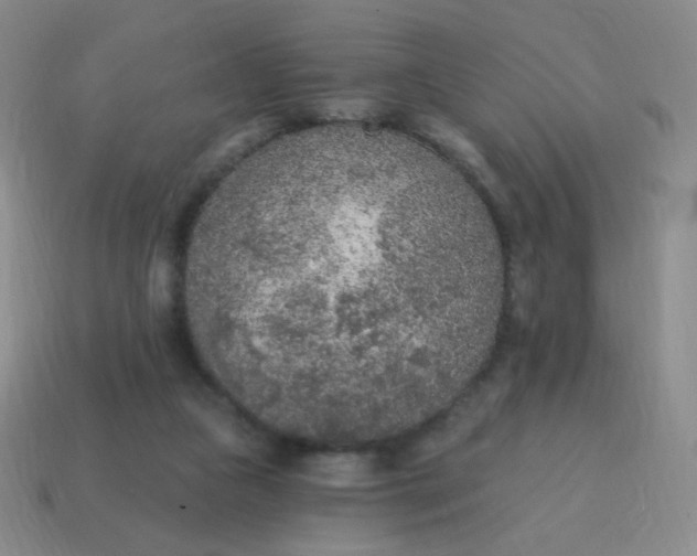 X0000115070161200911101310
