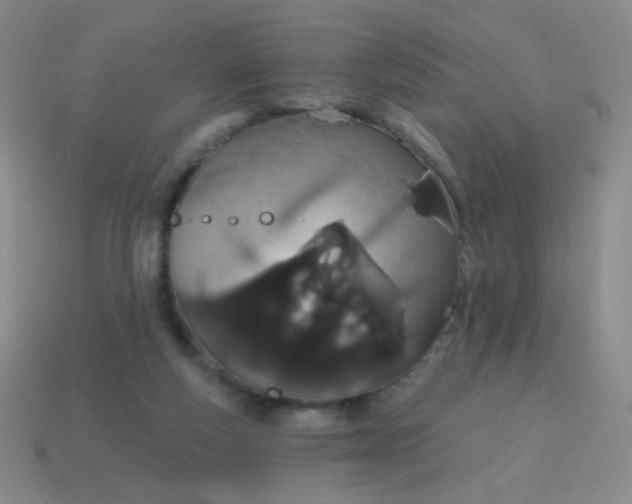 X0000115070163200911101310