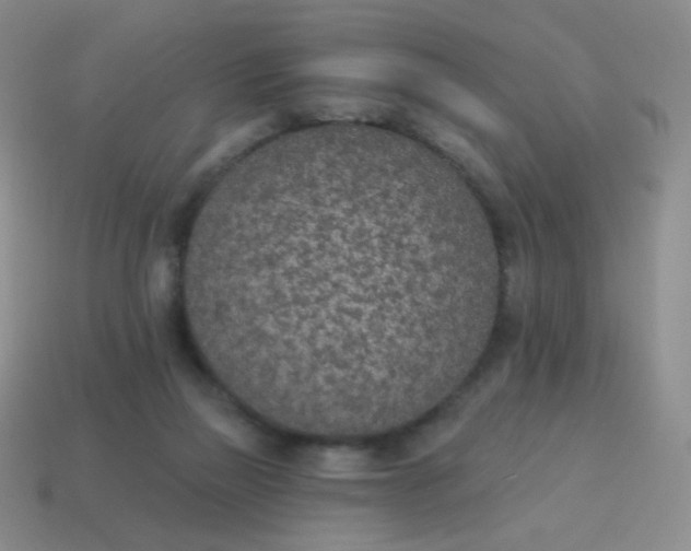 X0000115070165200911101310