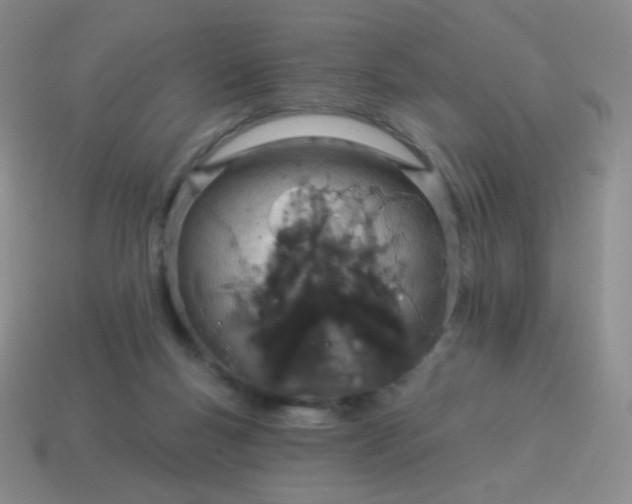 X0000115070167200911101310