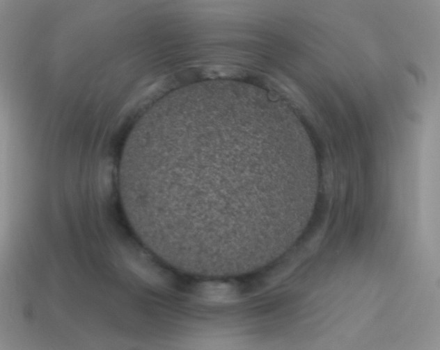 X0000115070169200911101310