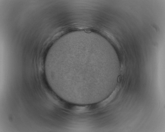 X0000115070170200911101310