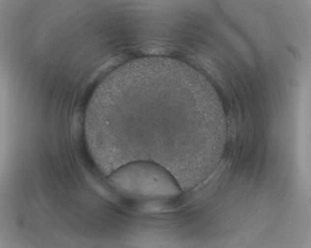X0000115070171200911101310