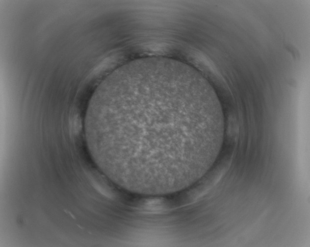 X0000115070173200911101310