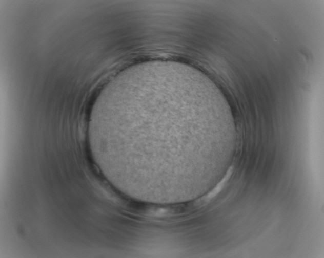 X0000115070174200911101310