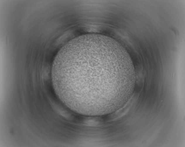 X0000115070175200911101310